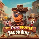 The Dog House – Dog or Alive icon